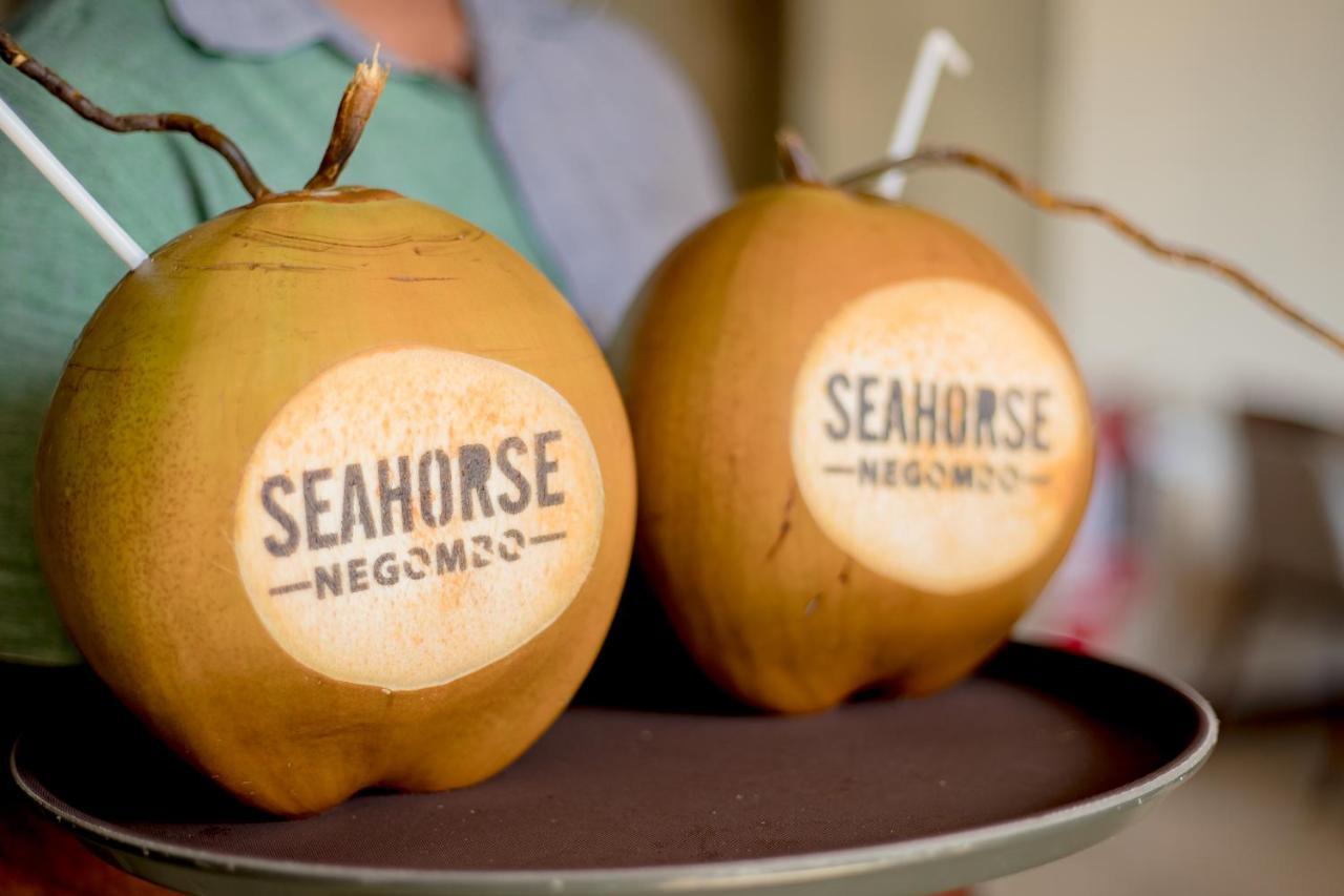 Seahorse Hotel & Spa Negombo Eksteriør billede